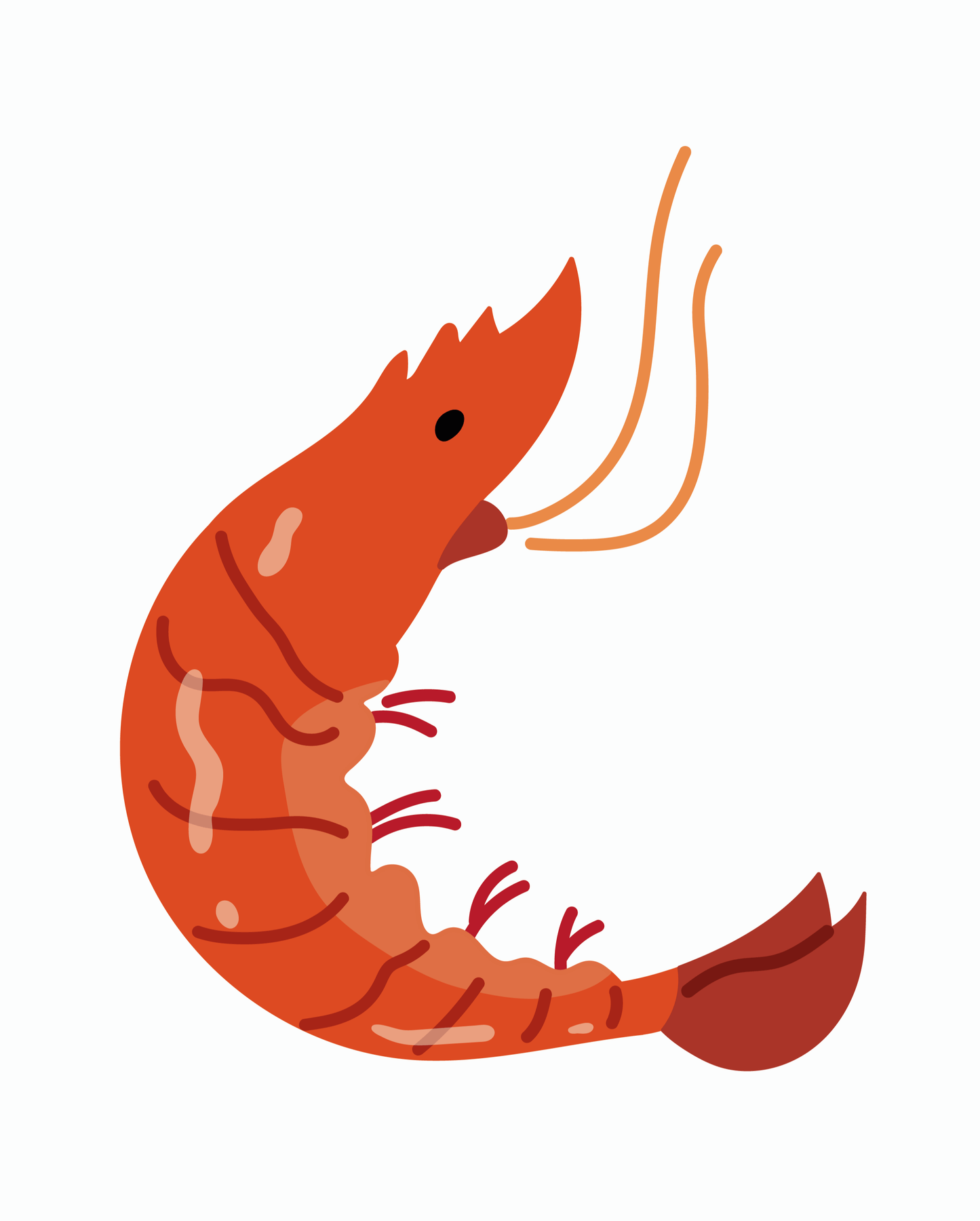Camiseta 'GAMBA'