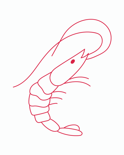 Camiseta 'I'LL BE A GAMBA' pintada